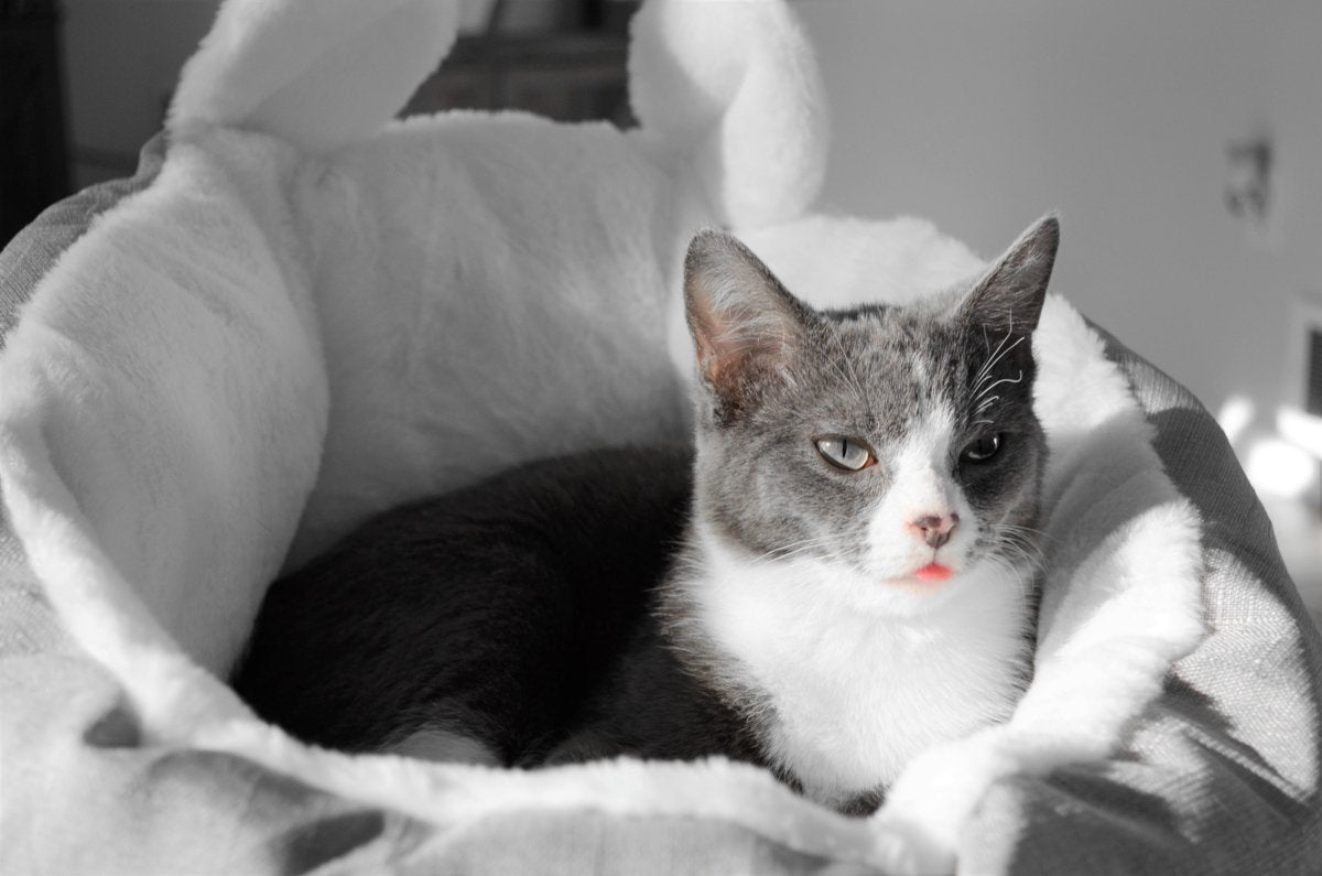 Cat Bed Sleeping Bag (Grey-Small) - Taplike