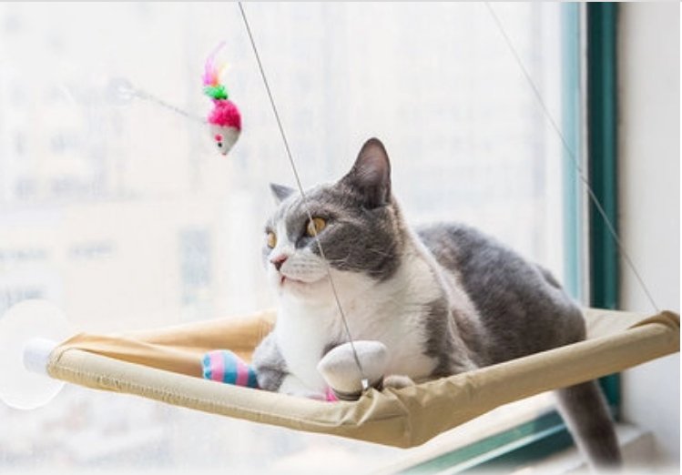 Cat Window Bed - Taplike