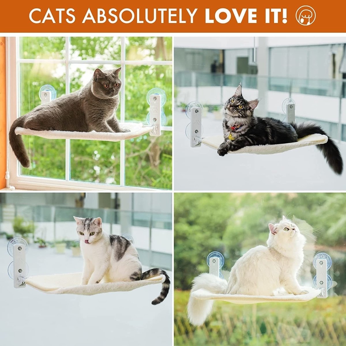 Cat Window Perch Foldable Hammock with Steel Frame and Strong Suction - Taplike