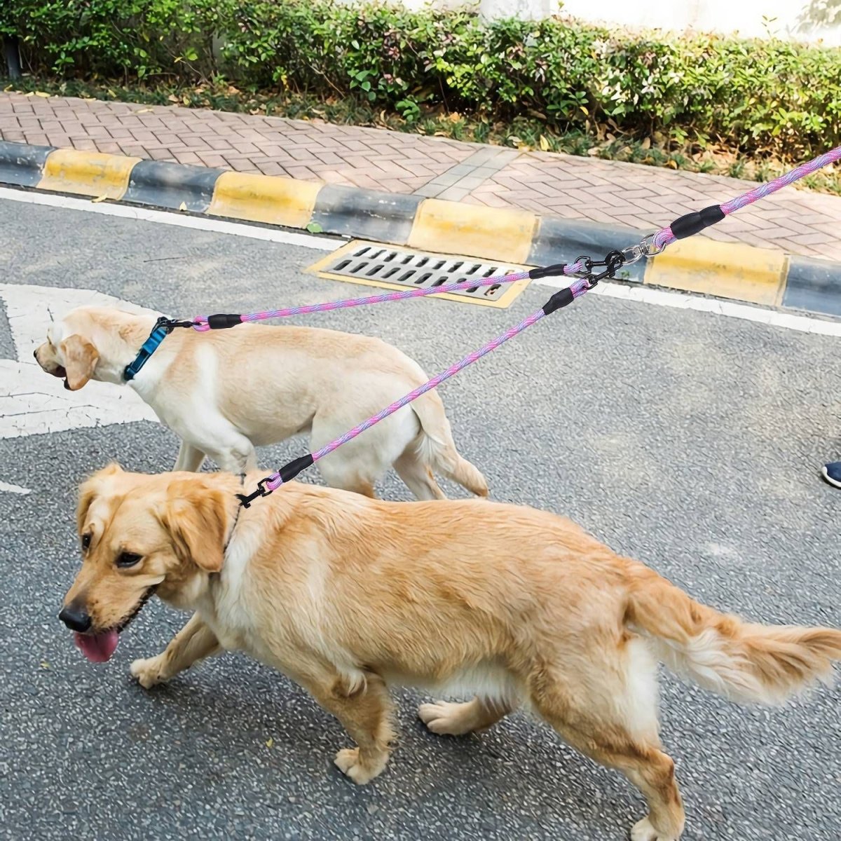 Double Dogs Leash No-Tangle Dogs Lead Reflective Dogs Walking Leash - Taplike