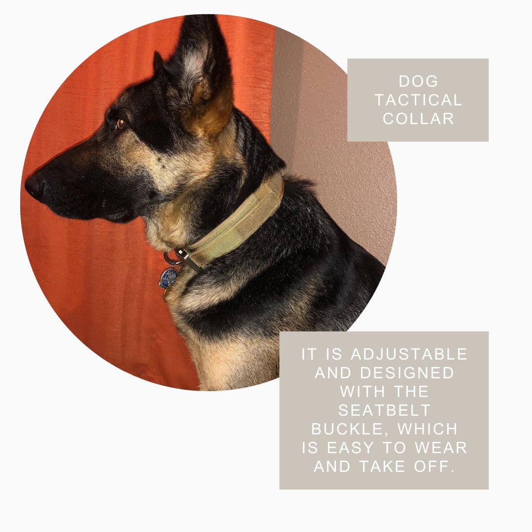 Durable Military Tactical Dog Collar - Taplike