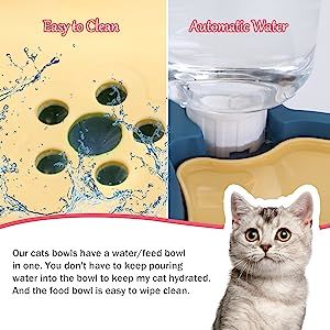Elevated Tilted Food and Water Bowl Set, Raised Bowl with Automatic - Taplike