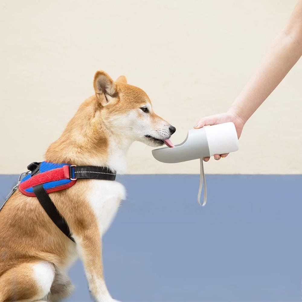 Instachew Rover Pet Travel Bottle, Dog water bottle - Taplike