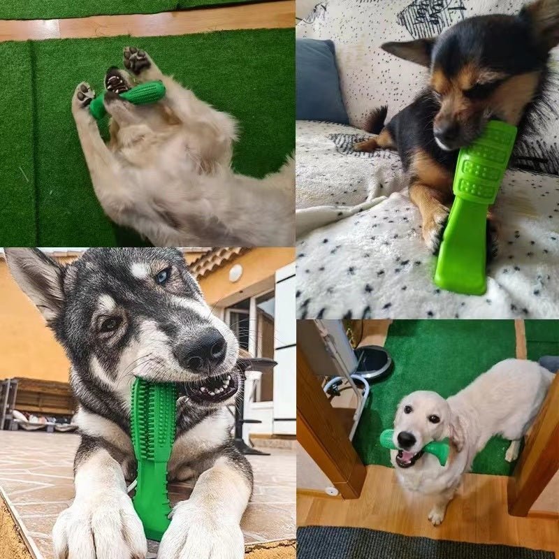 Rubber Dog Chew Toys Dog toothbrush Pet mint Toy Brushing Puppy - Taplike