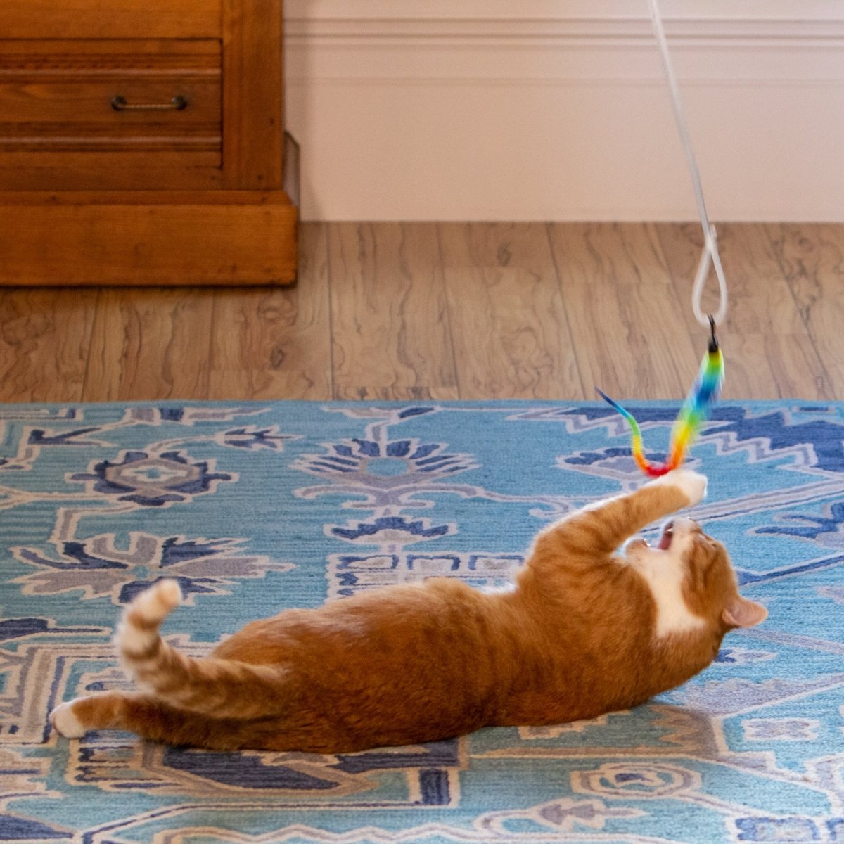 Squishy Face Studio Tough Teaser Cat Exercise Toy with 2 Lures - Taplike