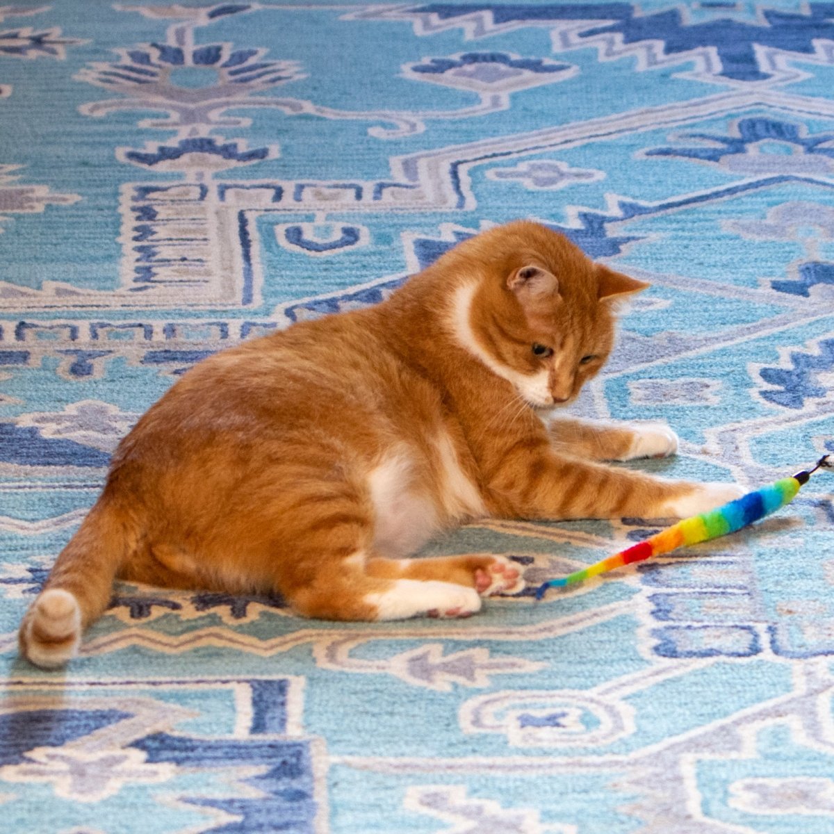 Squishy Face Studio Tough Teaser Replacement Lure 2 Pack, Rainbow - Taplike