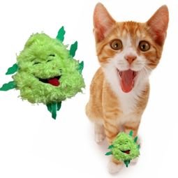 Bud Jr. the Weed Nug and Jay Jr. the Joint Cat Toy Set - Taplike