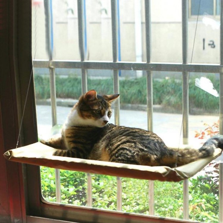 Cat Window Bed - Taplike