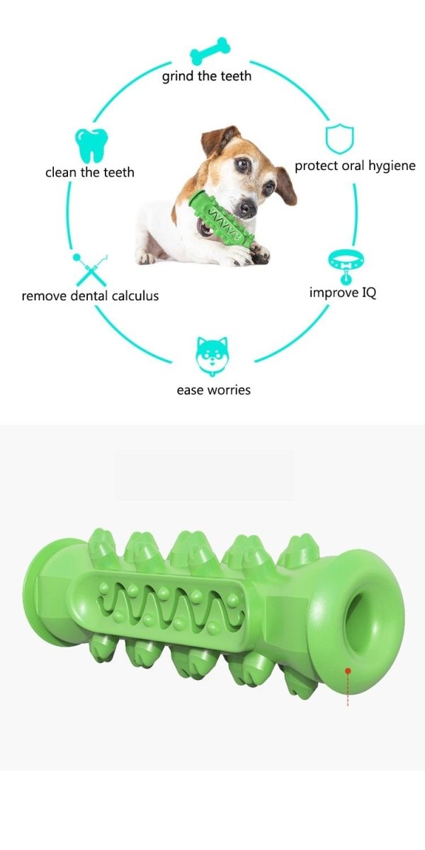 Chewing Toy for Dogs - Taplike