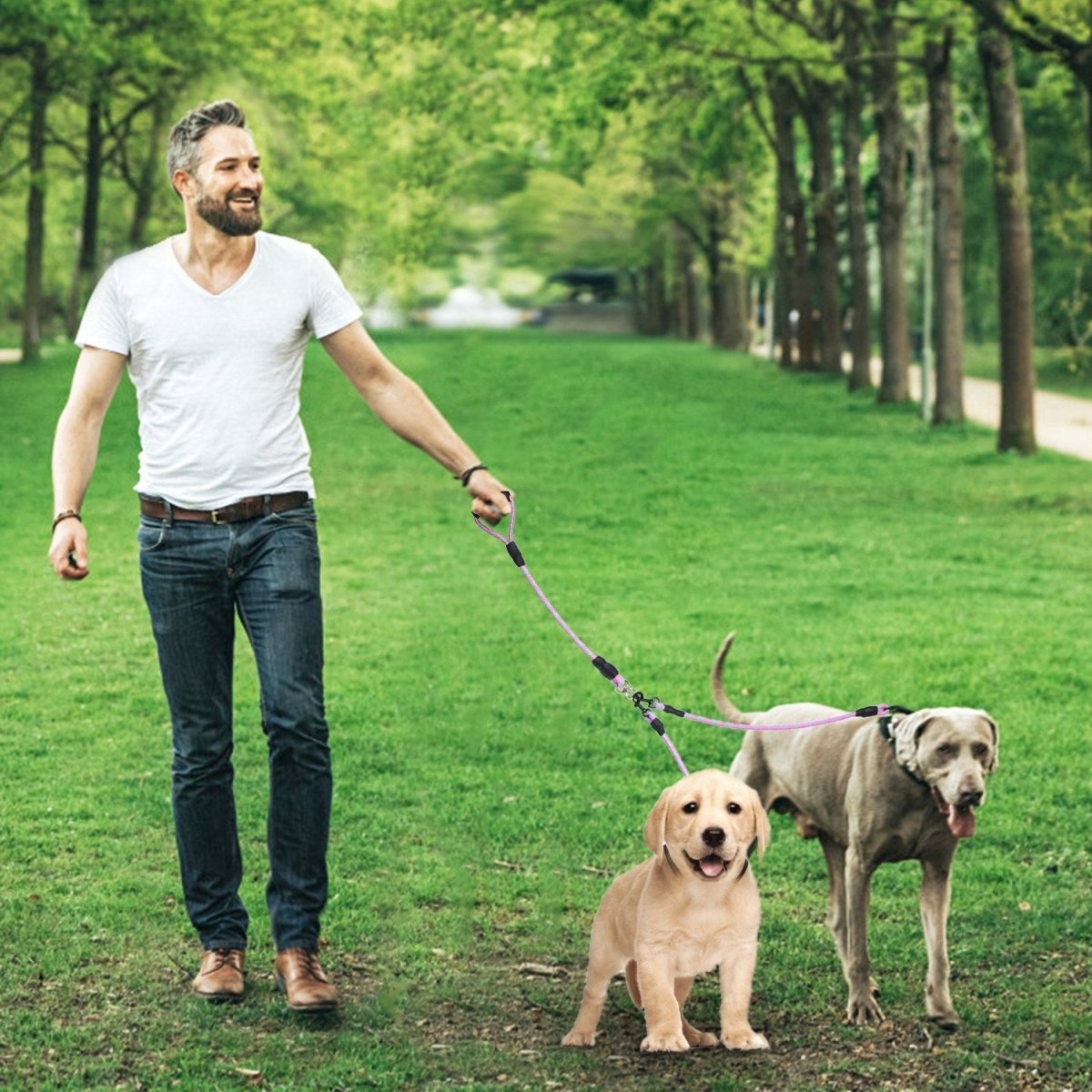 Double Dogs Leash No-Tangle Dogs Lead Reflective Dogs Walking Leash - Taplike
