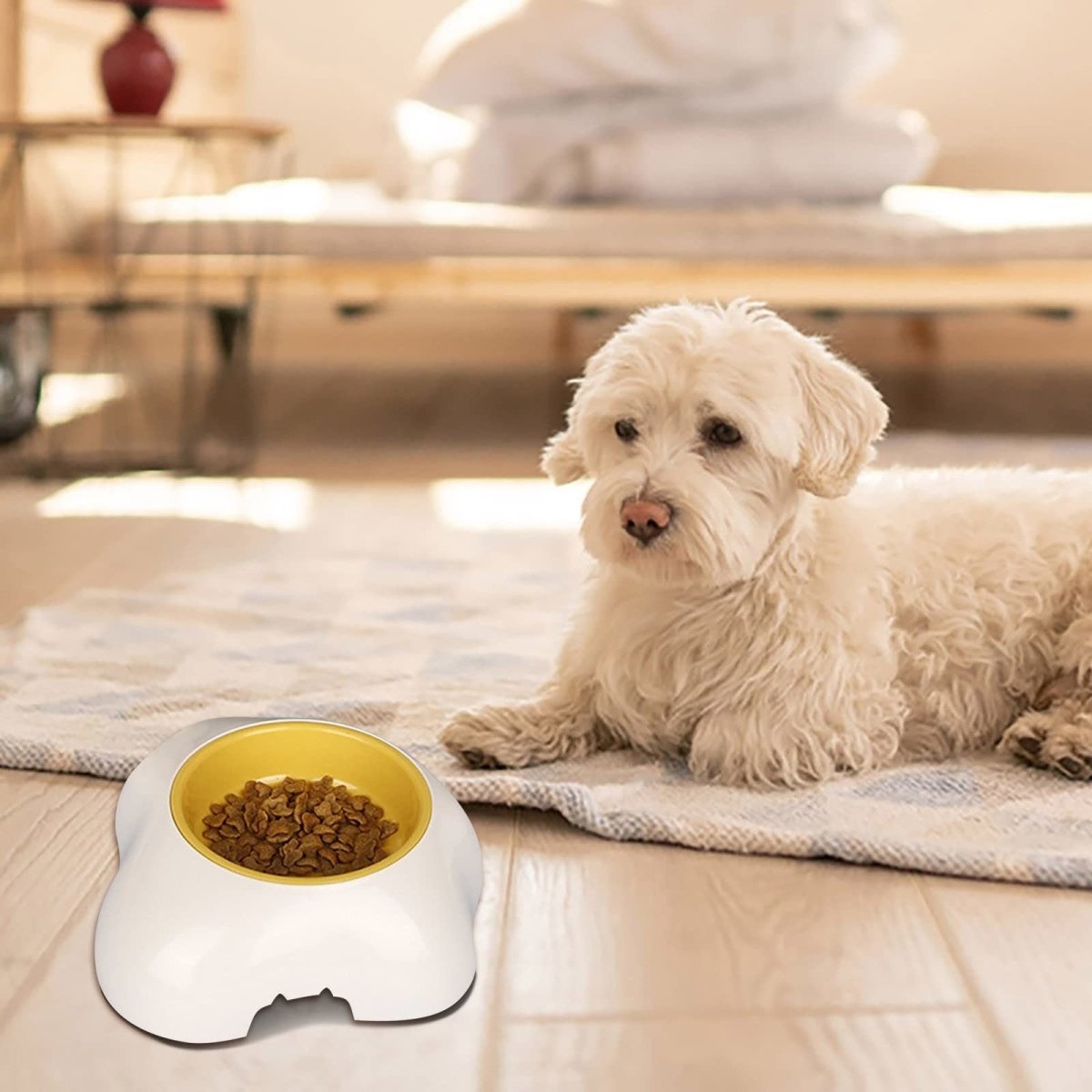 Egg-shaped Pet Bowl Drinking Water Single Bowl Double Bowl Dog Bowls - Taplike
