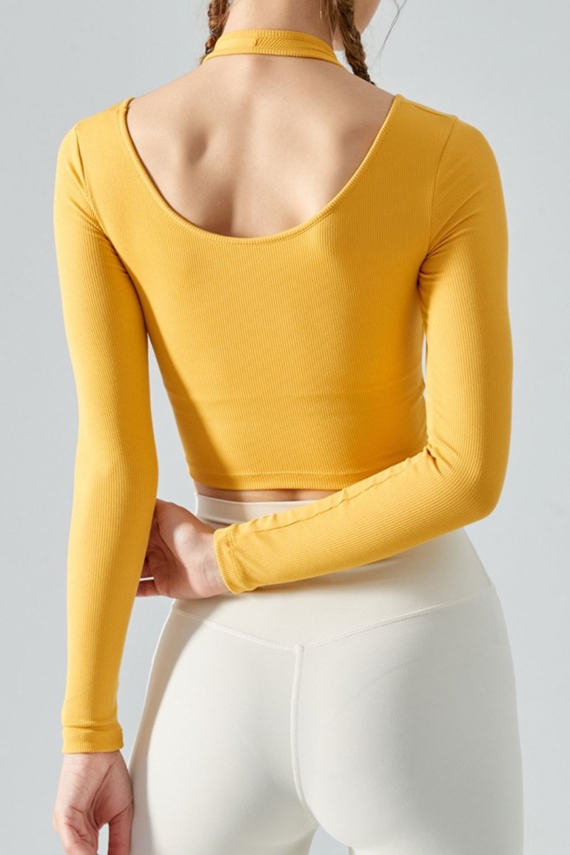 Halter Neck Long Sleeve Cropped Sports Top - TapLike