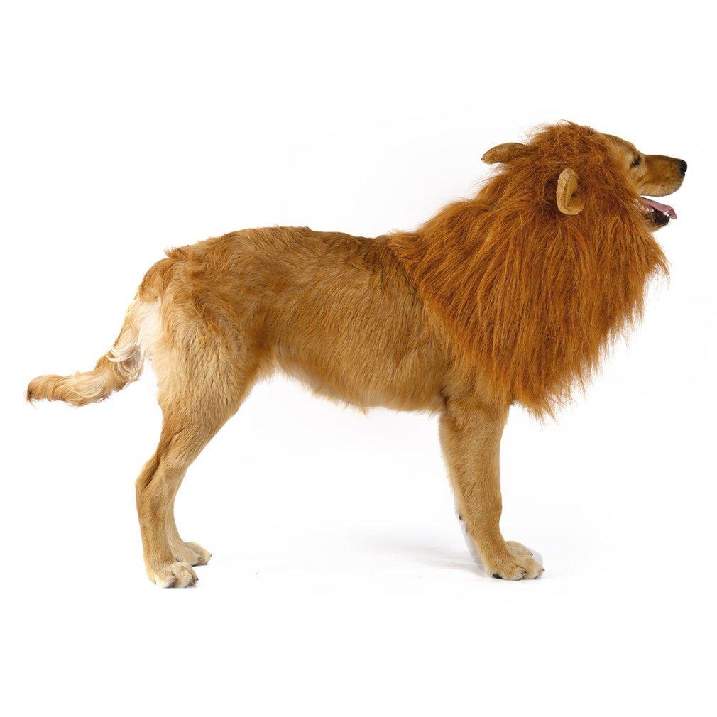 Lion Theme Dog Wig - Taplike