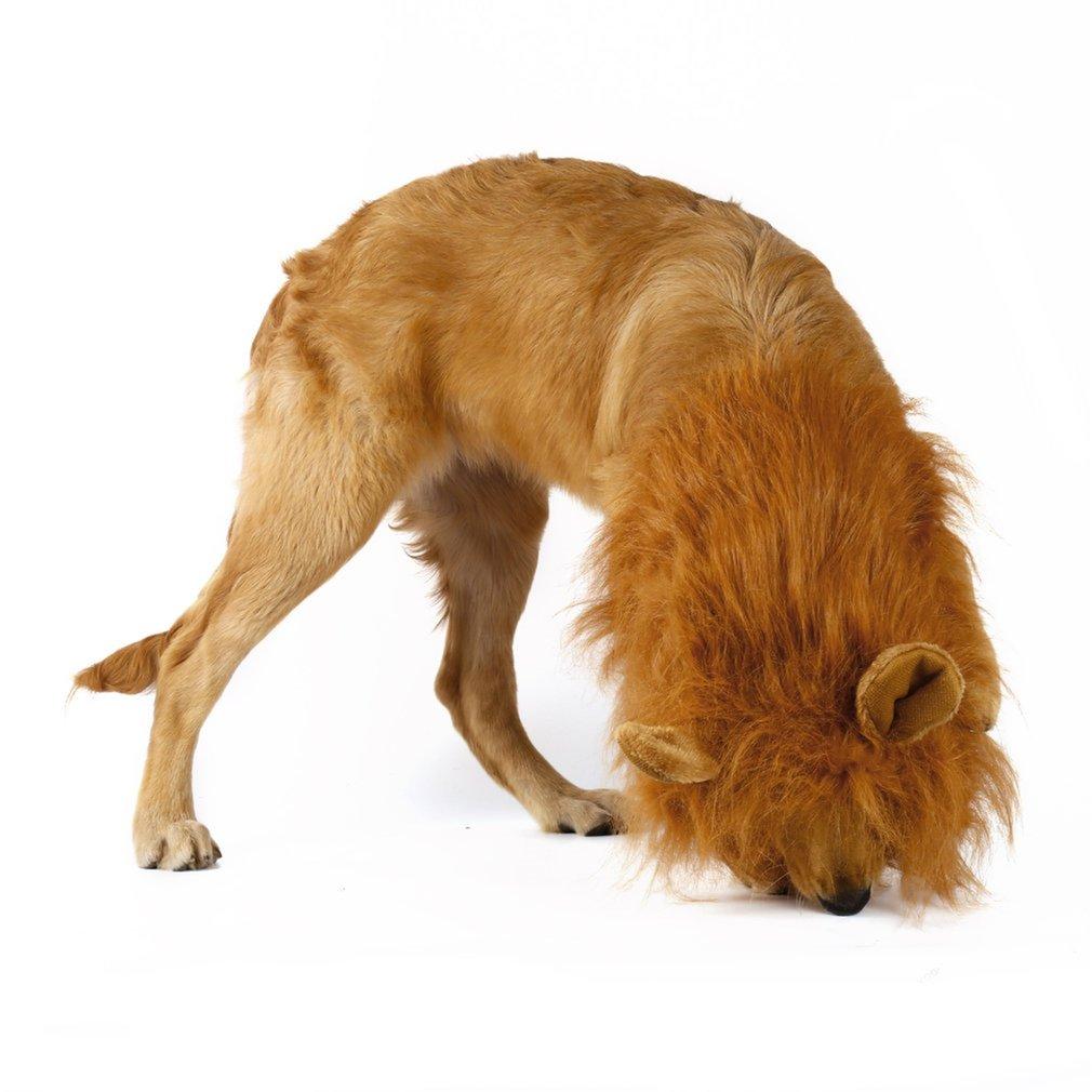 Lion Theme Dog Wig - Taplike