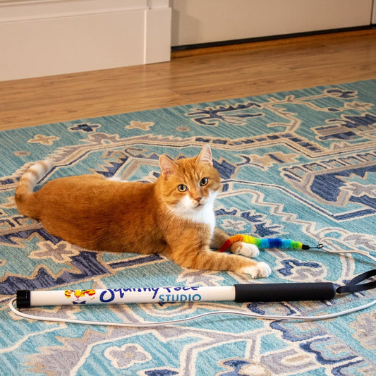 Squishy Face Studio Tough Teaser Cat Exercise Toy with 2 Lures - Taplike